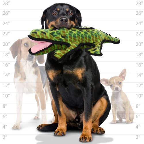 Tuffy Ocean Alligator, Durable, Squeaky Dog Toy