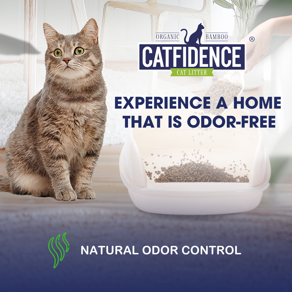 Catfidence® Organic Bamboo Cat Litter, Non-Clumping 21lb