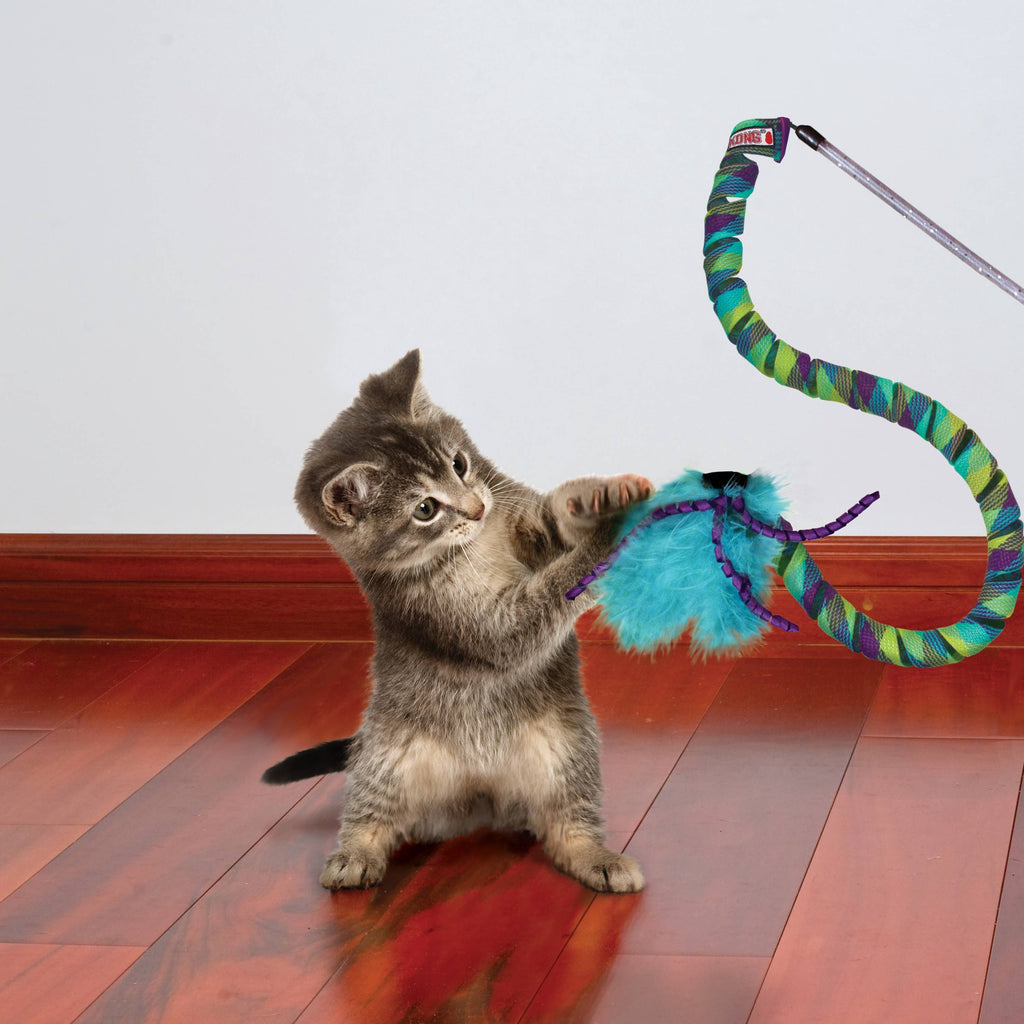 KONG® Teaser Curlz Cat Toy