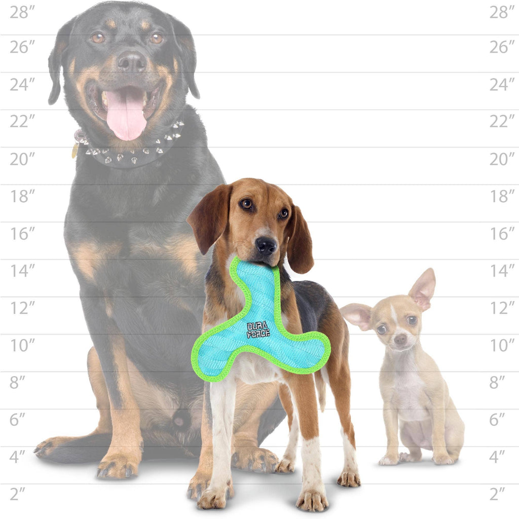 DuraForce Jr Boomerang - Blue, Durable, Squeaky Dog Toy