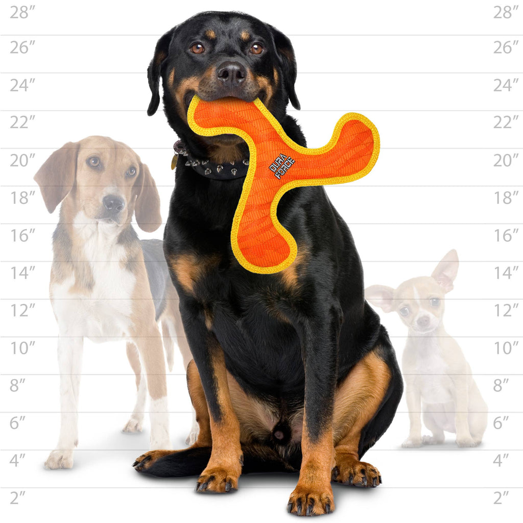 DuraForce Boomerang Tiger - Orange, Durable, Squeaky Dog Toy