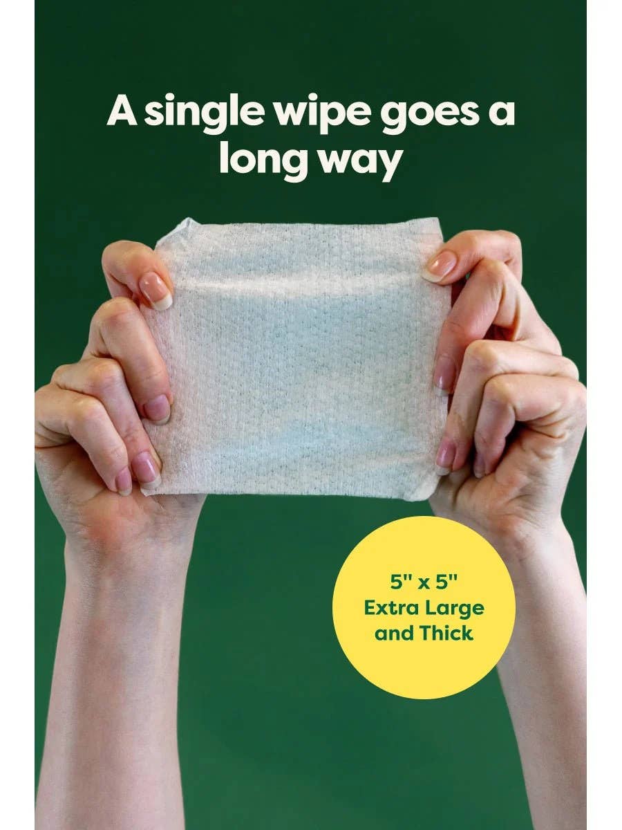 Earth Rated Dog Ear Cleansing Wipes 60ct Case of 6