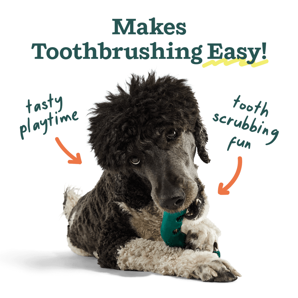 The Bite n' Brush