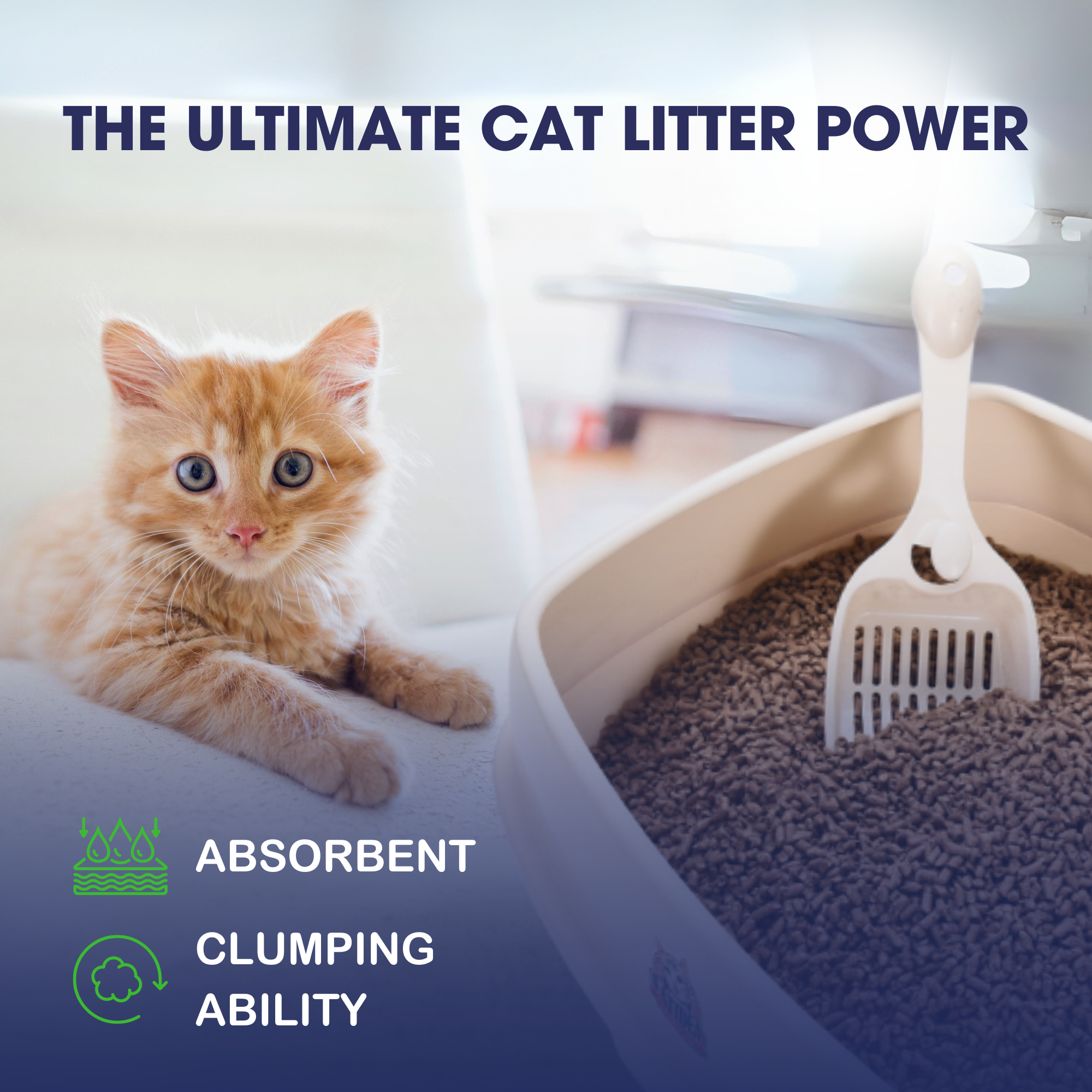 Catfidence® Organic Bamboo Cat Litter, Non-Clumping 7lb