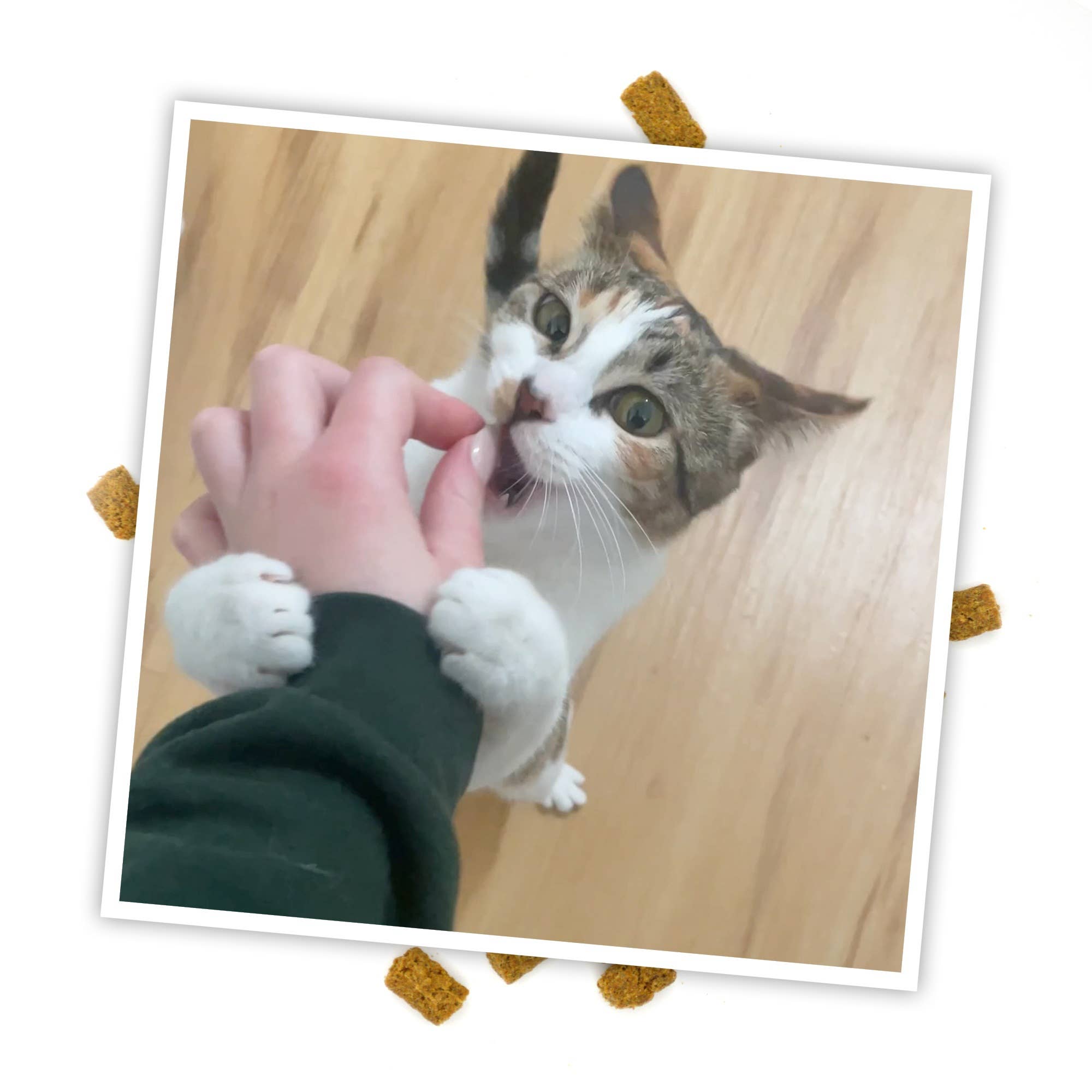 Meowijuana Crunchie Munchie Chicken Cat Treat 3oz