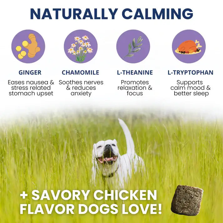 Under the Weather Calming Soft Chew 60ct