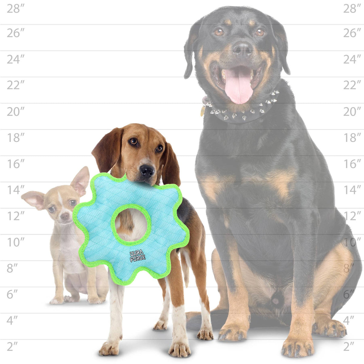 DuraForce Med Gear Ring - Blue, Durable, Squeaky Dog Toy
