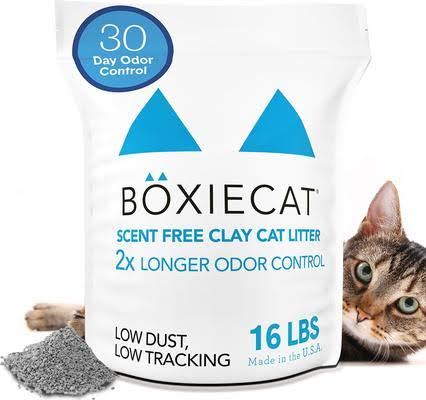 Boxiecat Scent Free Premium Cat Litter 16 lb